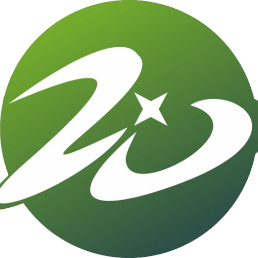 湖北维智科技咨询有限公司