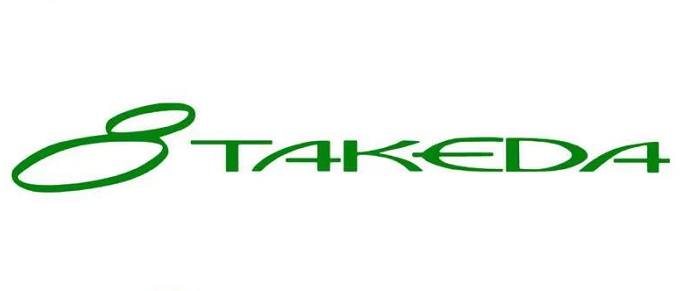 巢湖竹田汽配制造有限公司