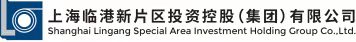 上海临港新片区投资控股(集团)有限公司