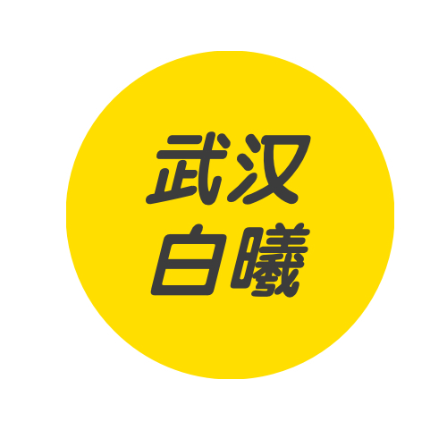 武汉白曦科技有限公司