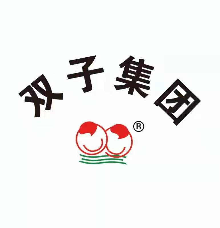 山东双子控股集团有限公司