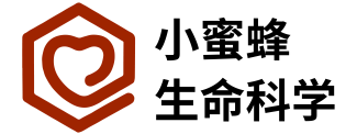 武汉小蜜蜂生命科学技术有限公司