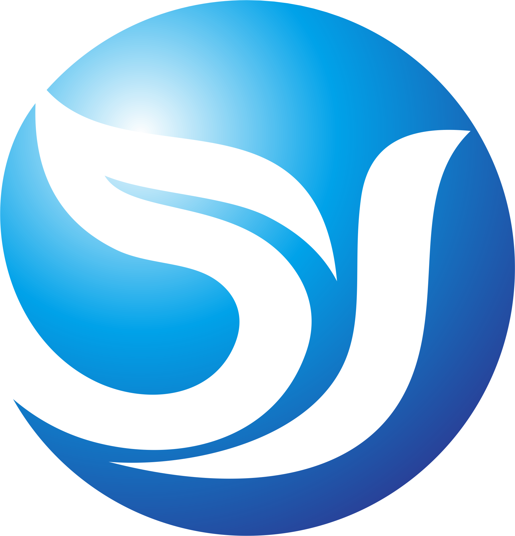 河南泱森进出口贸易有限公司