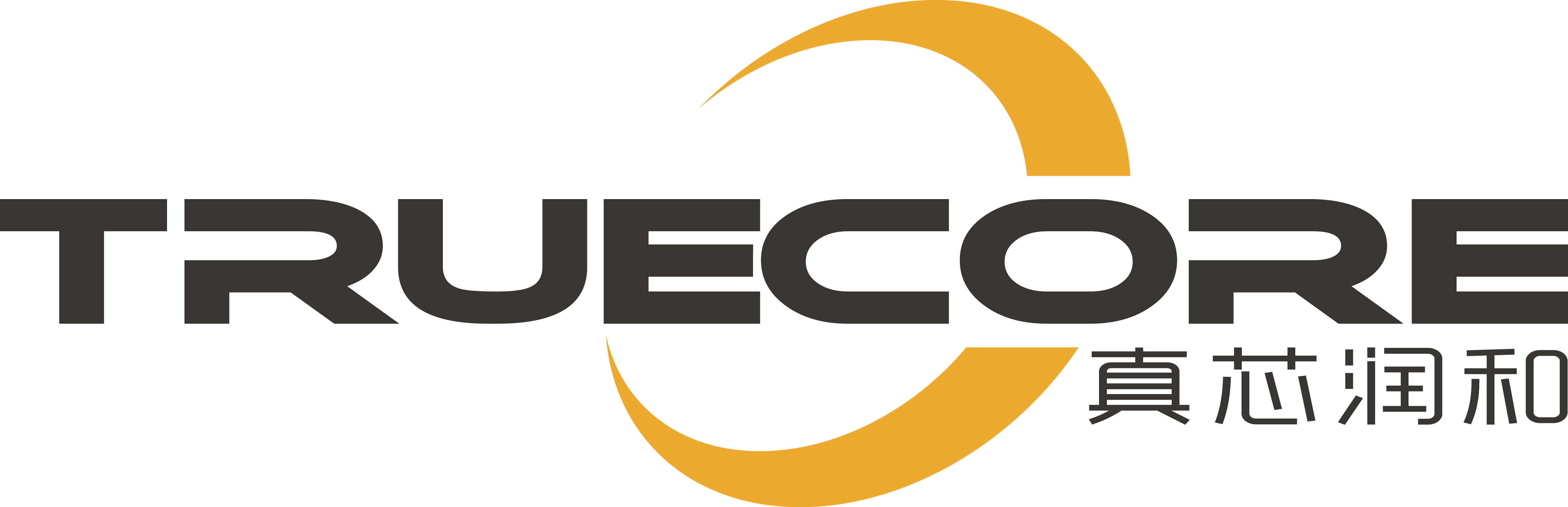 南京真芯润和微电子有限公司