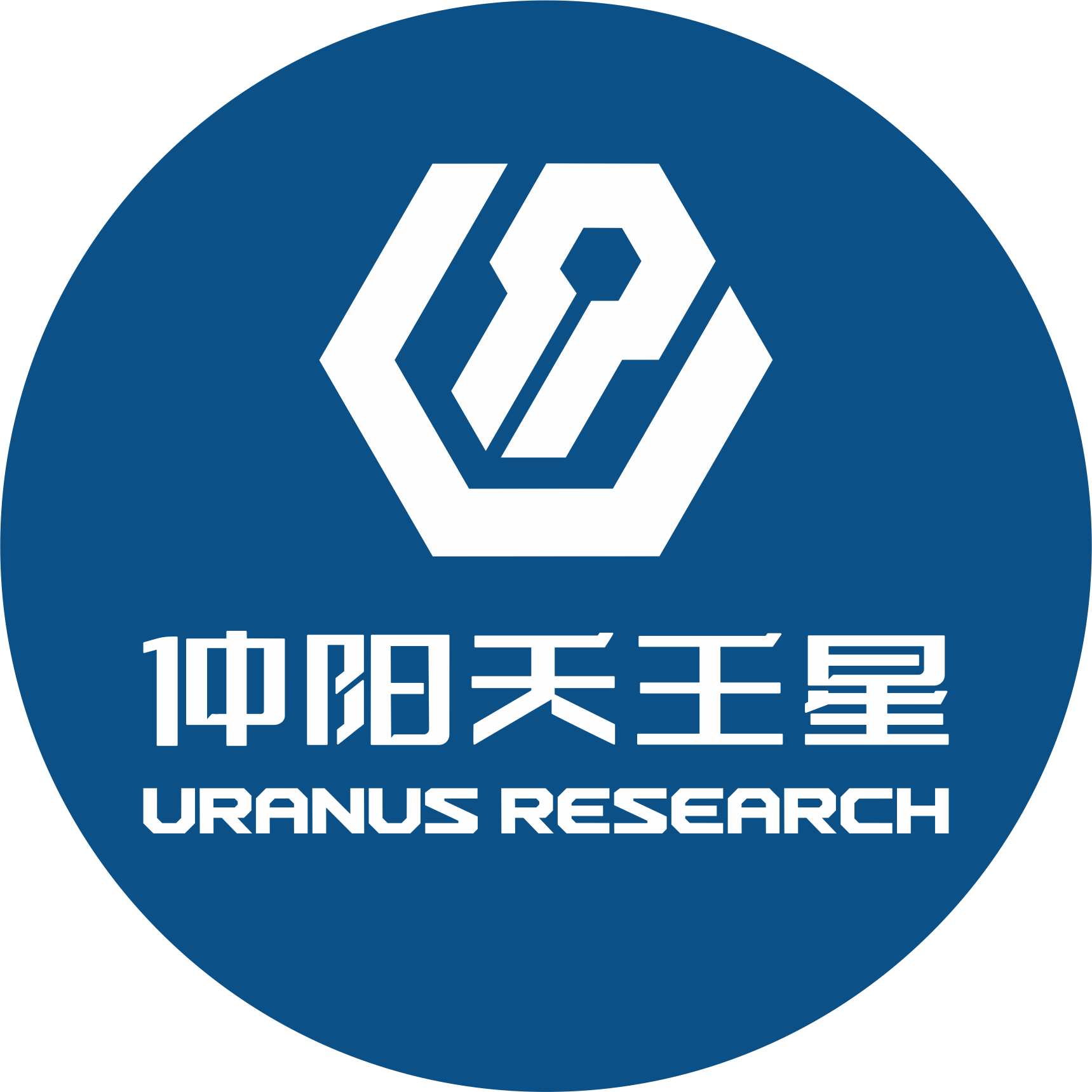 上海仲阳天王星数据科技有限公司