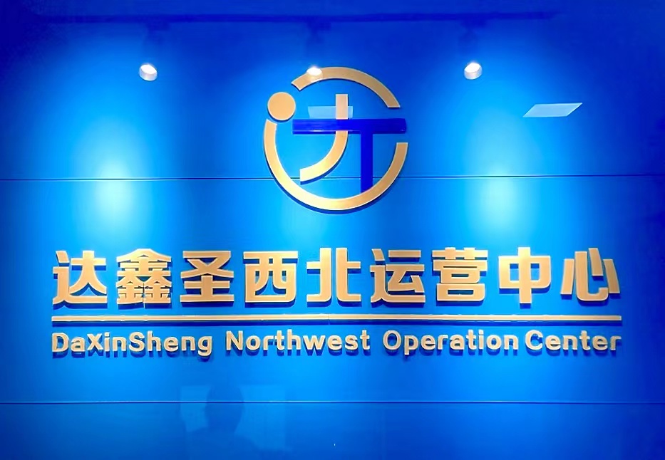 陕西达鑫圣数据科技有限公司