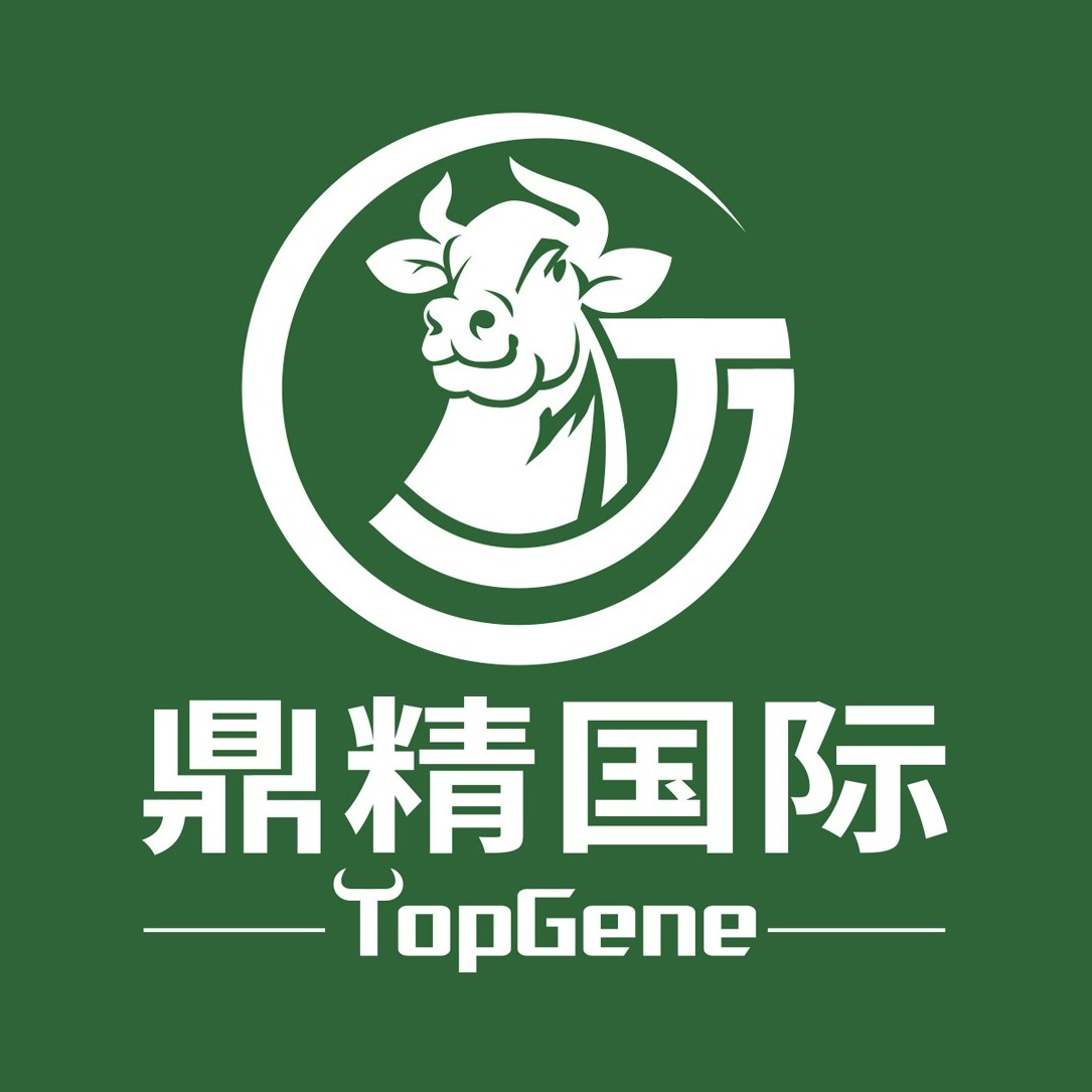 北京鼎精国际进出口有限公司