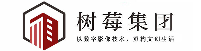 树莓科技(成都)集团有限公司