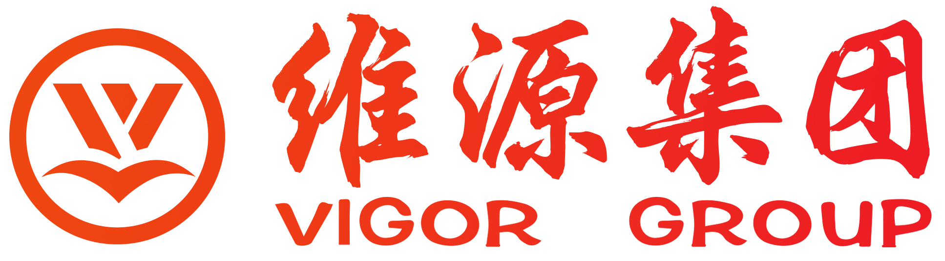 浙江维源数字科技集团有限公司