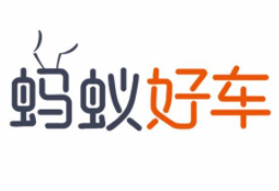 潍坊大搜车摩尔科技服务有限公司