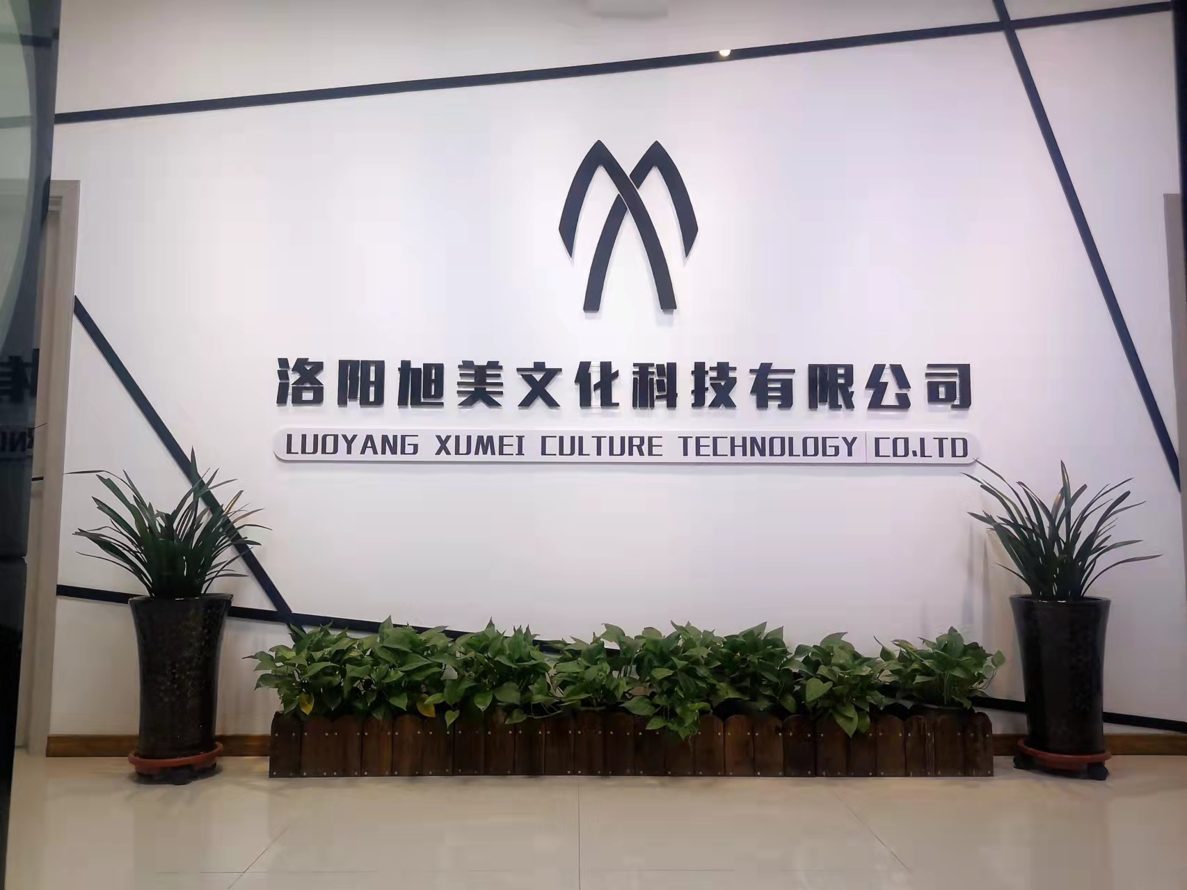 洛阳旭美文化科技有限公司