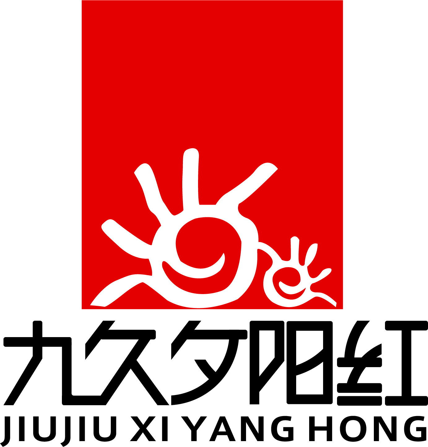 安徽九久夕阳红医养集团有限公司