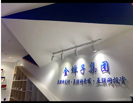 广州金蝉子数据服务有限公司