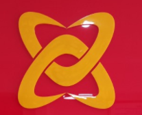 重庆家校社共育大健康研究院有限公司