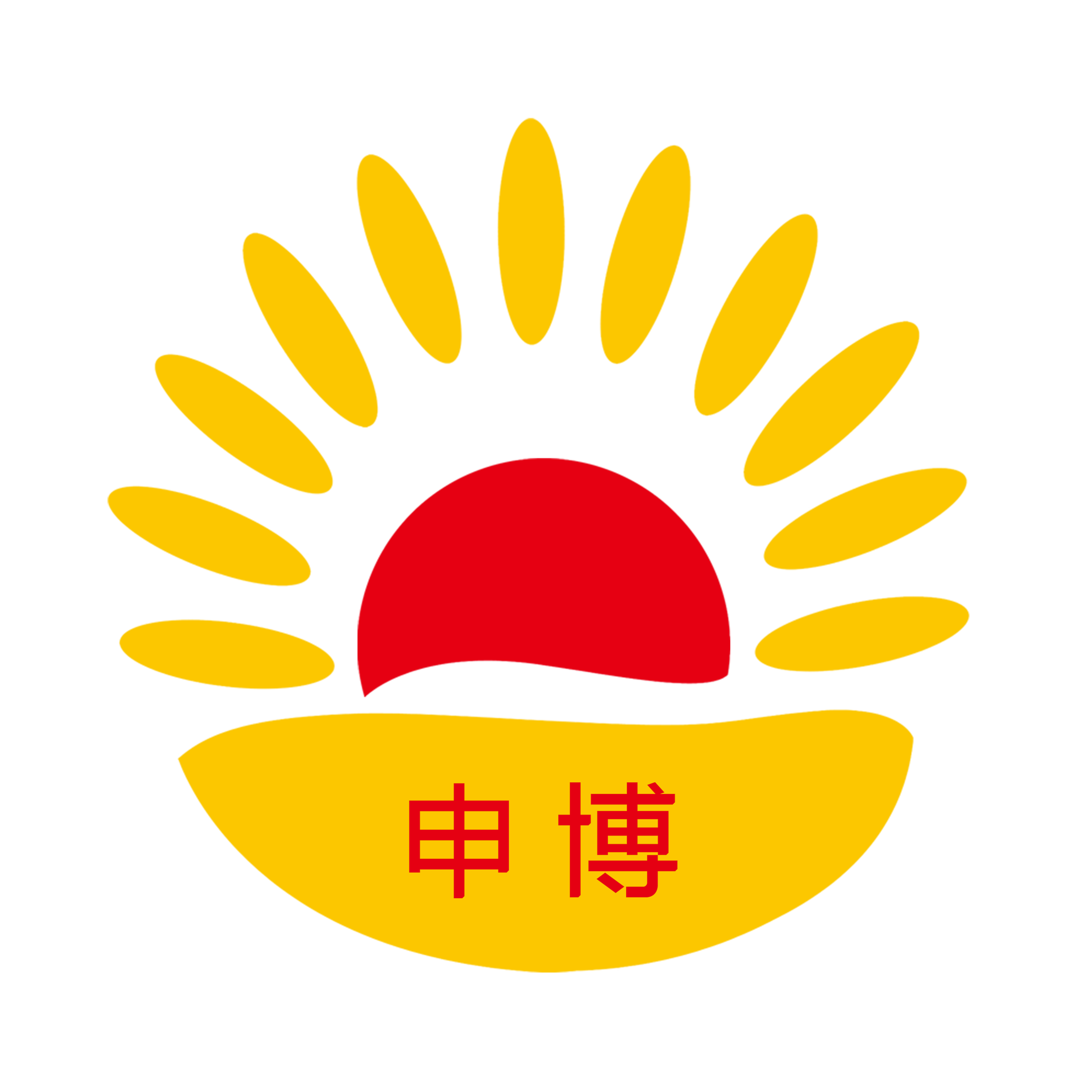 安徽省申博人才市场管理有限公司