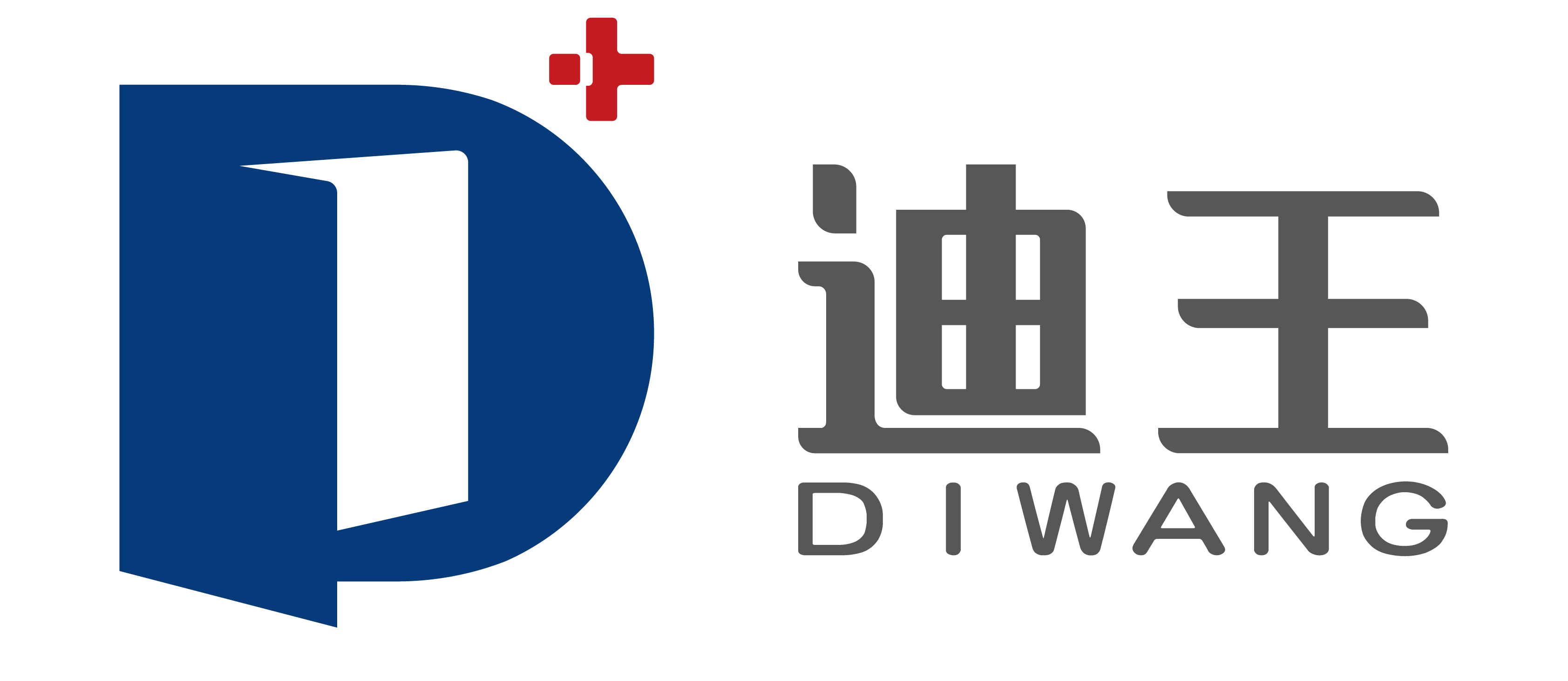 安徽迪王大健康科技有限公司