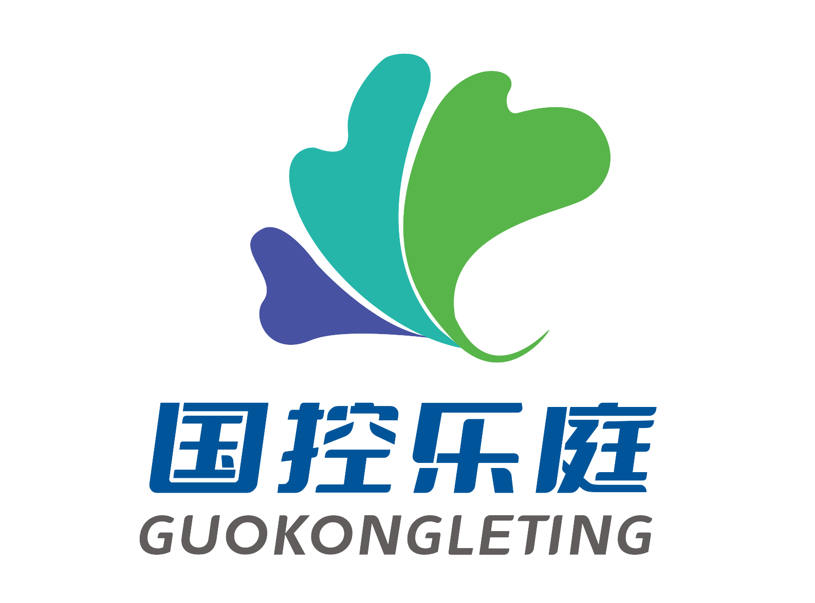 四川国控乐庭智慧健康管理有限公司