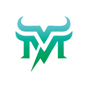 上海蛮牛新能源科技有限公司