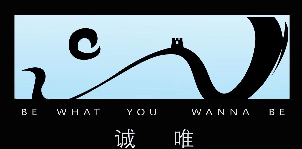 西安诚唯科技有限公司