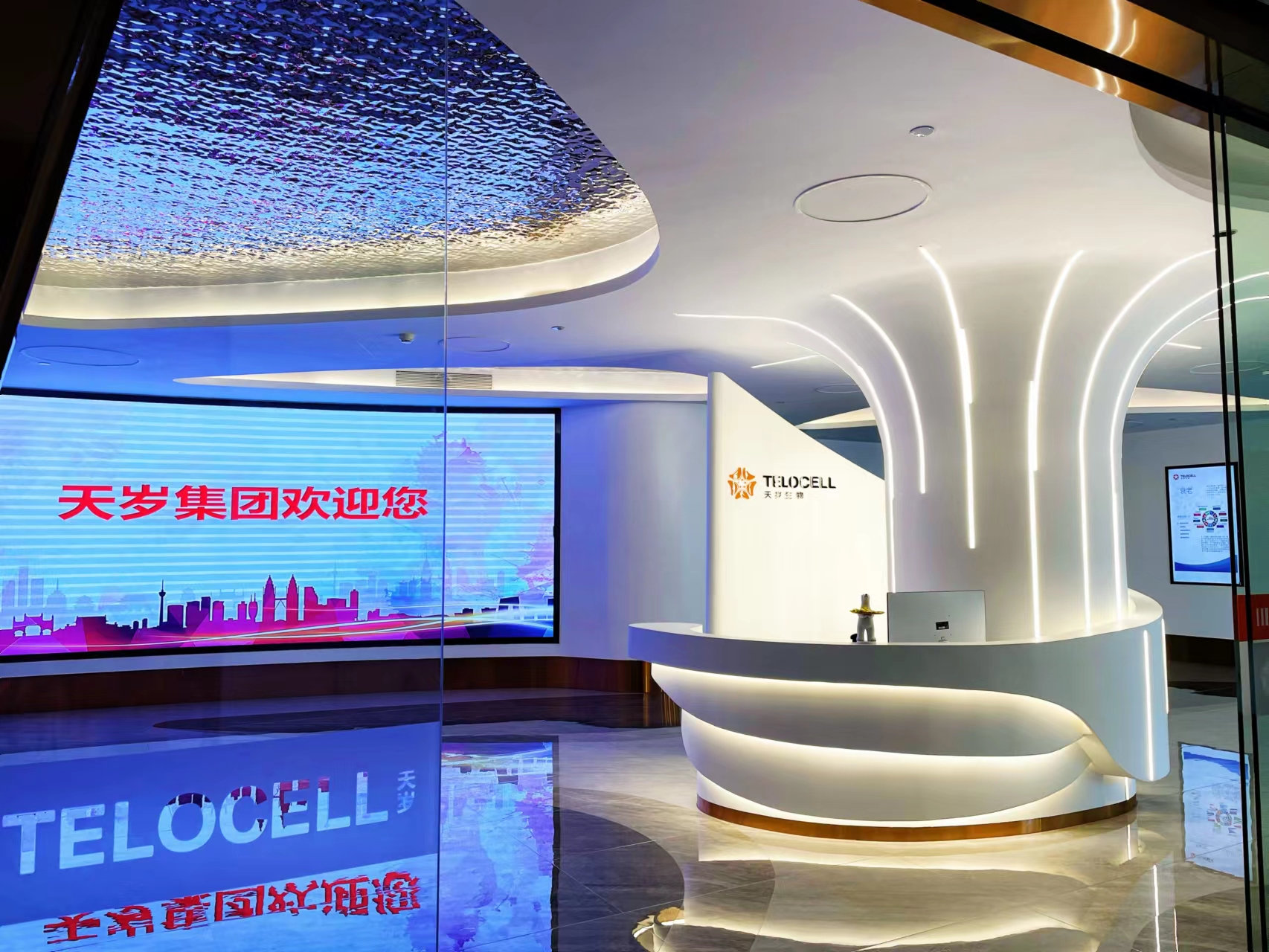 福建端能细胞科技有限责任公司