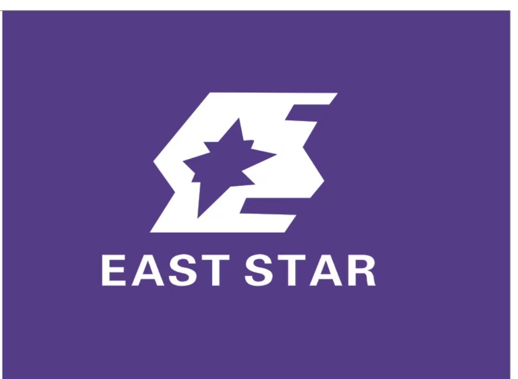 武汉东星在线电子商务有限公司