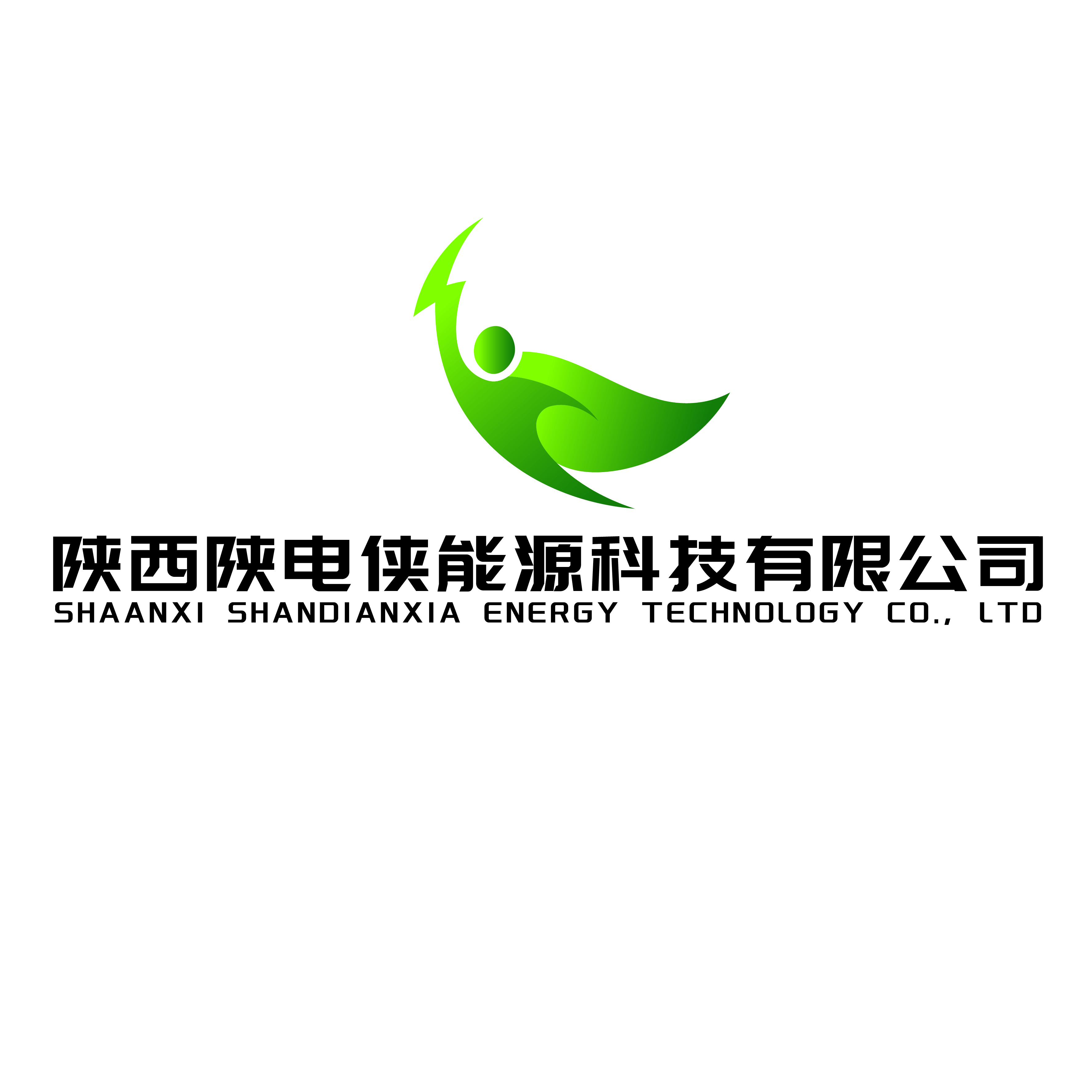 陕西陕电侠能源科技有限公司