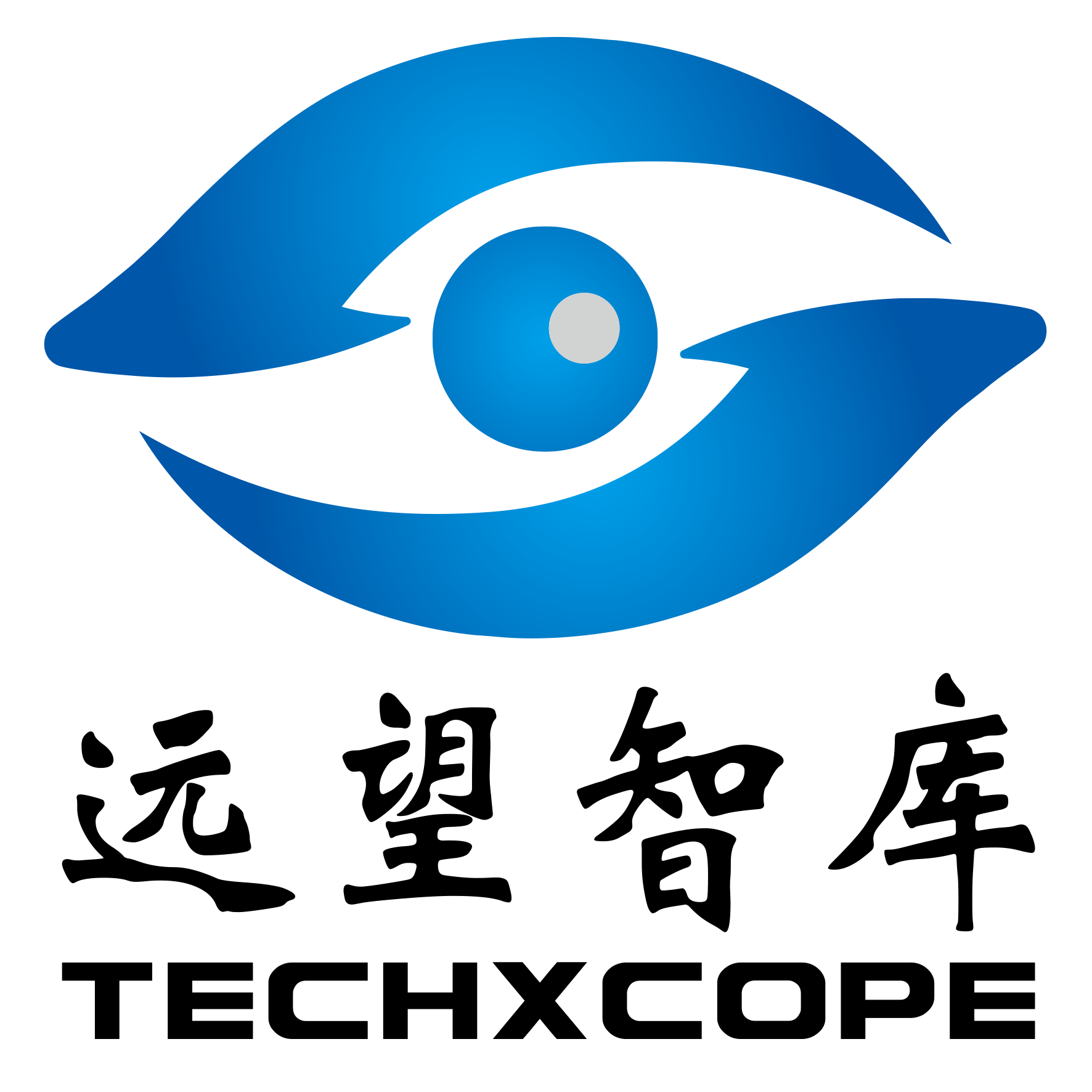 北京远望智库科技咨询有限公司