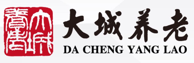 上海大城智慧养老服务有限公司