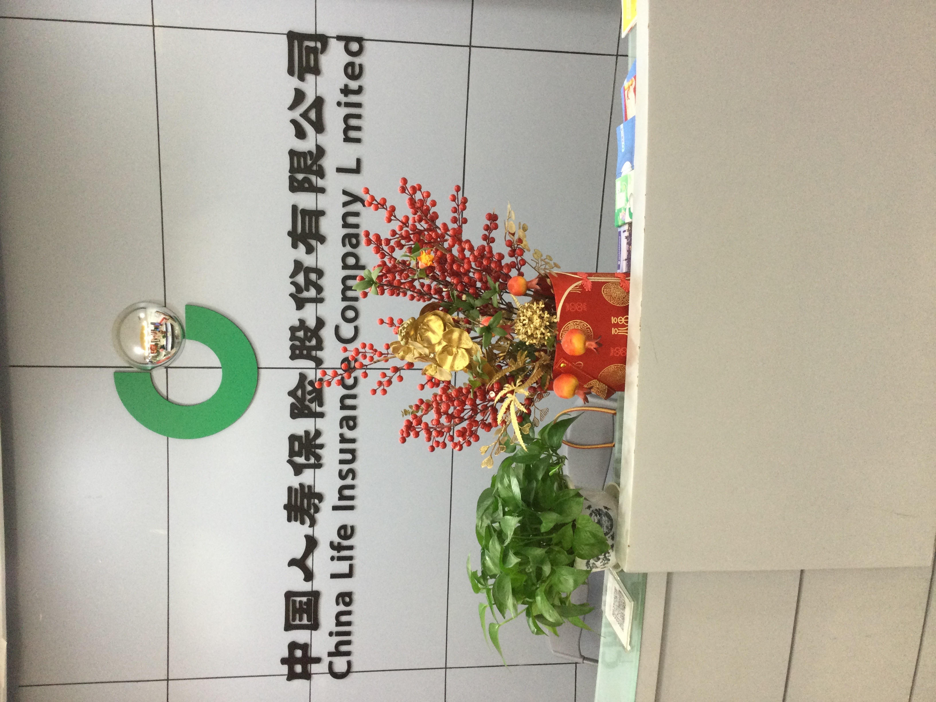 中国人寿保险股份有限公司上海市浦东支公司(宓孟君团队)