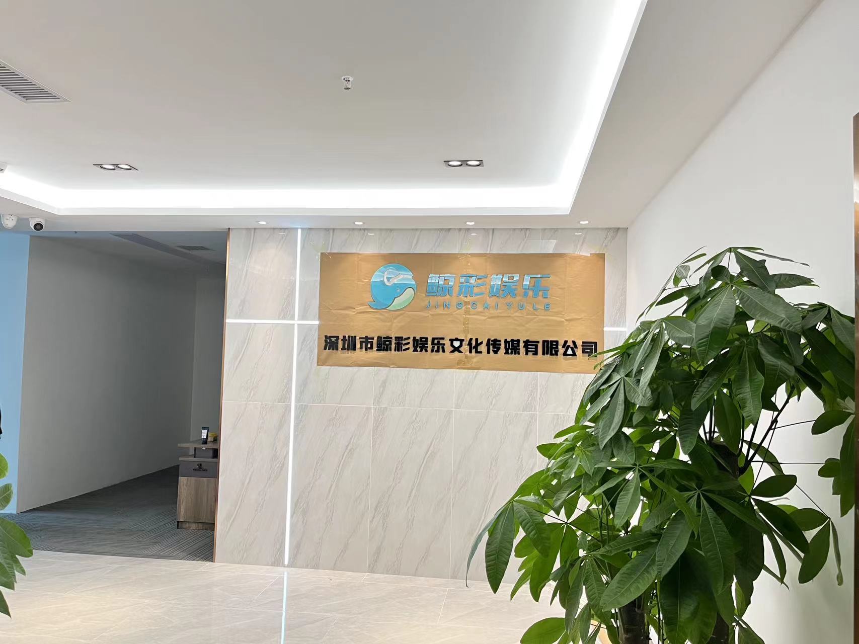 深圳市游良文化传播有限公司