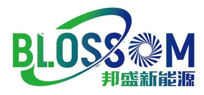 湖南邦盛新能源科技集团有限公司