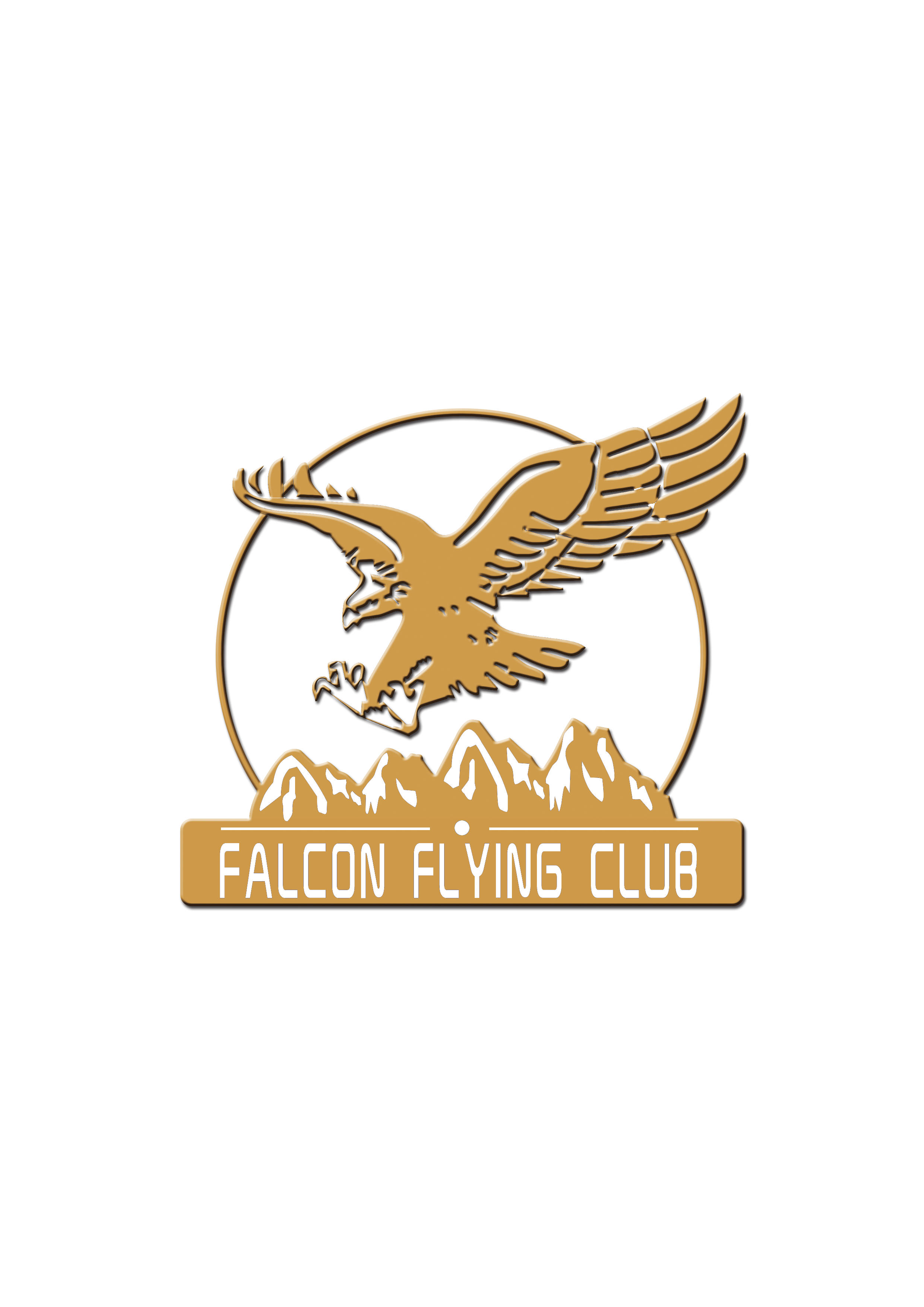 北京猎鹰飞行俱乐部有限公司