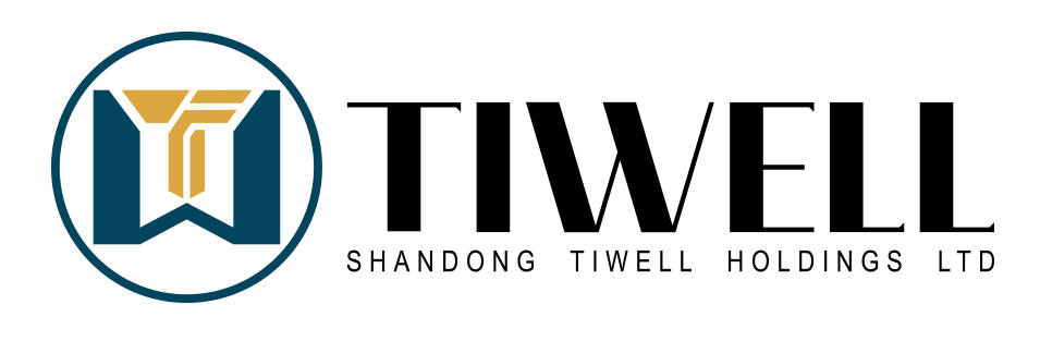 山东天维控股有限公司