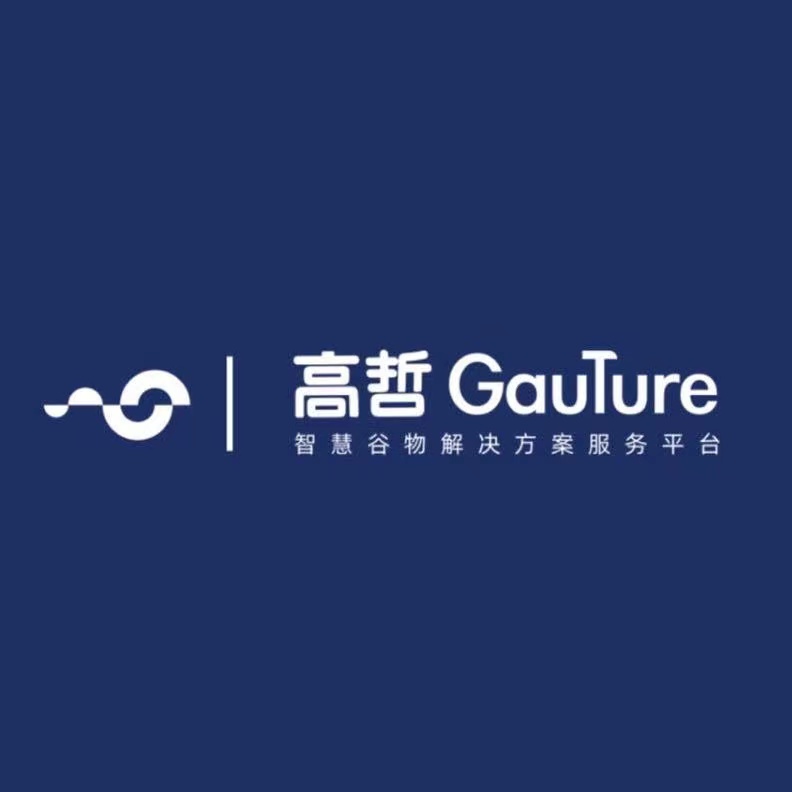 安徽高哲信息技术有限公司