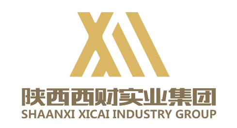 陕西西财实业集团有限公司