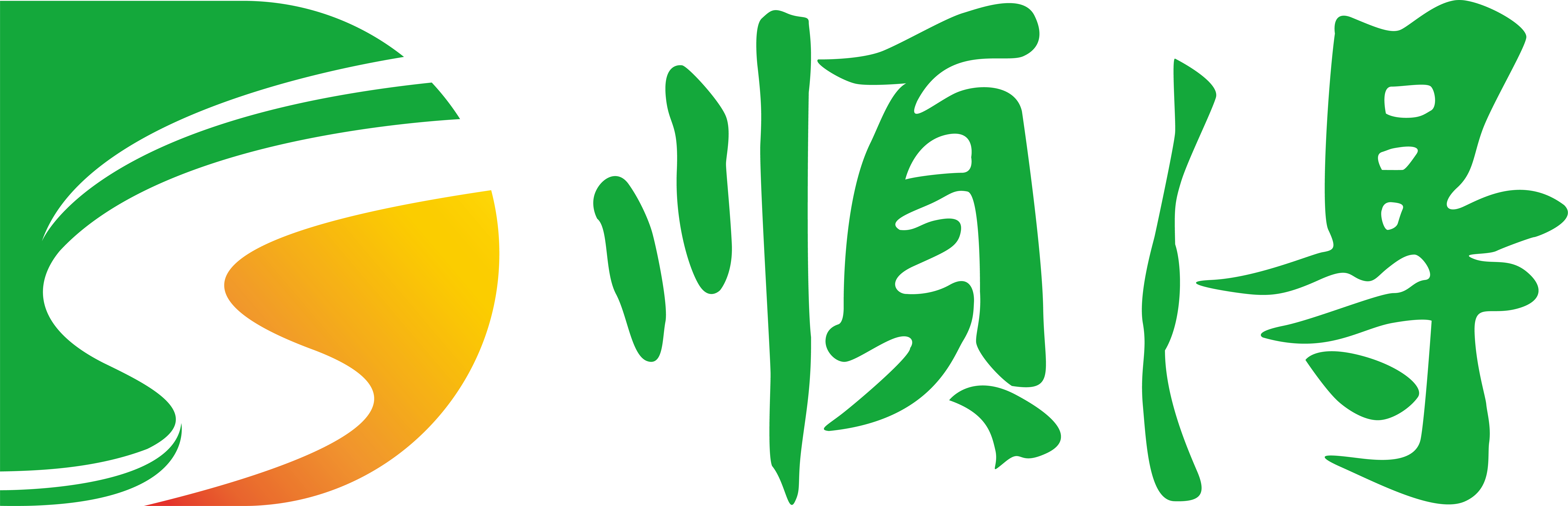山东顺得新能源发展有限公司