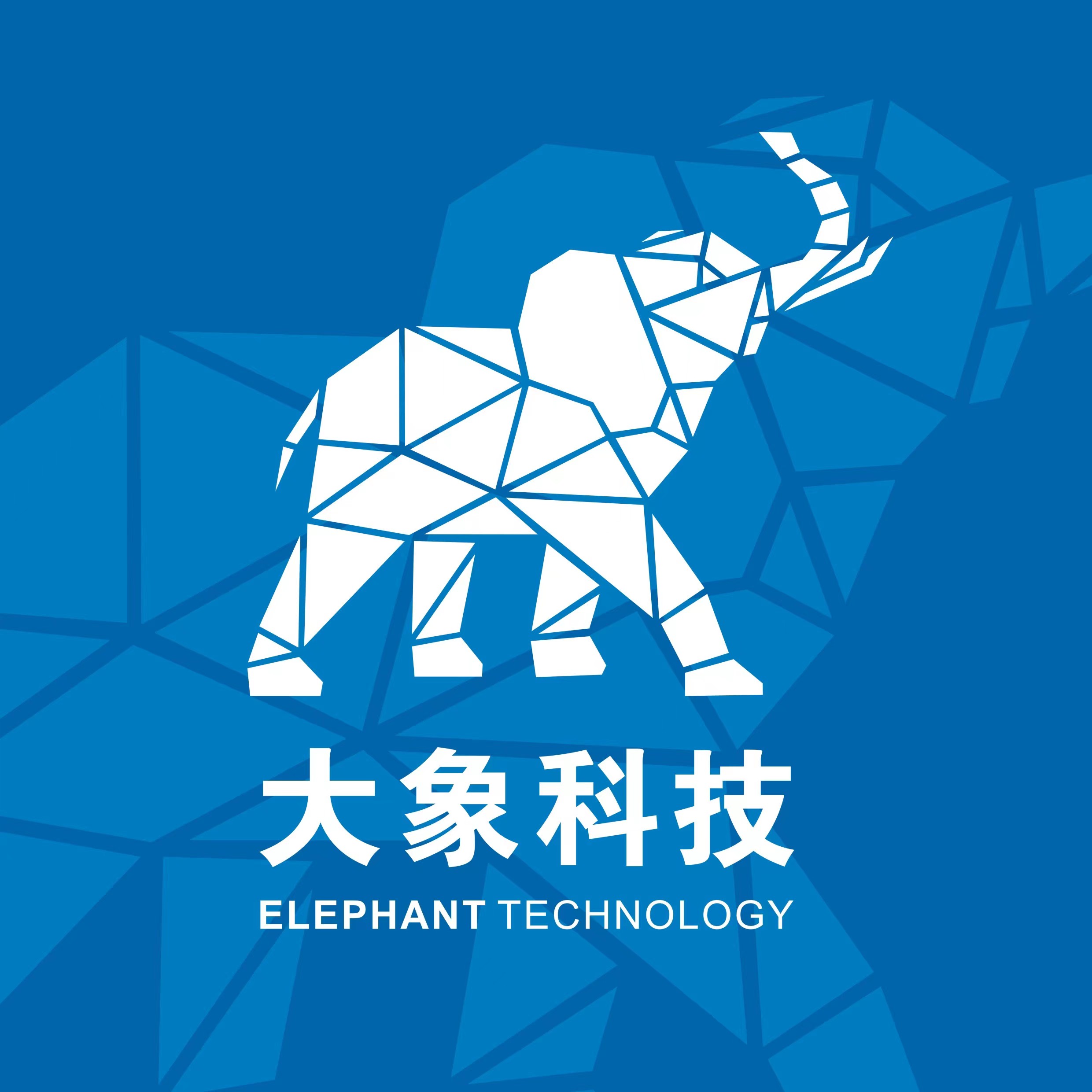 河南大象数字科技集团有限公司