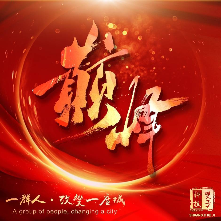 河北双子科技有限公司