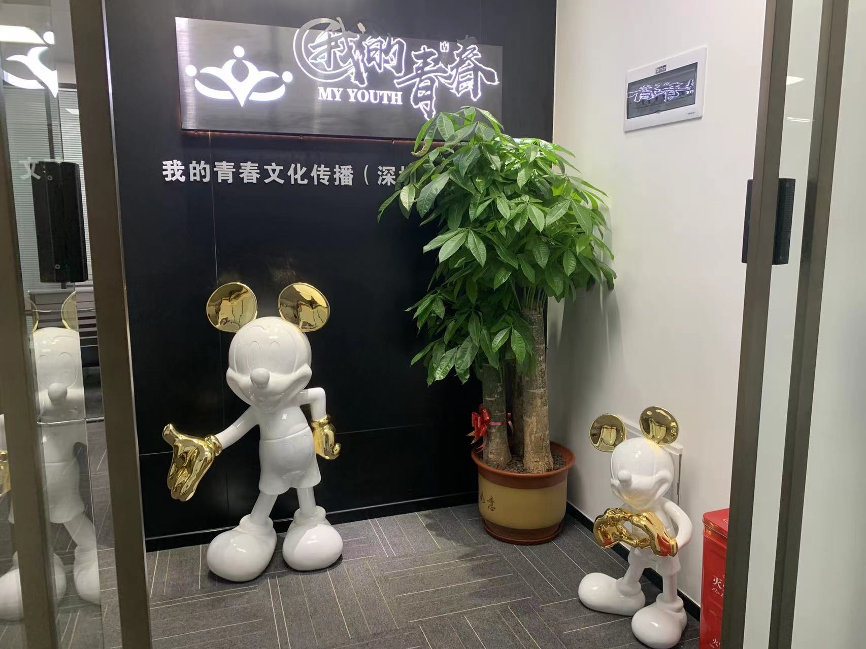 我的青春文化传播(深圳)有限公司