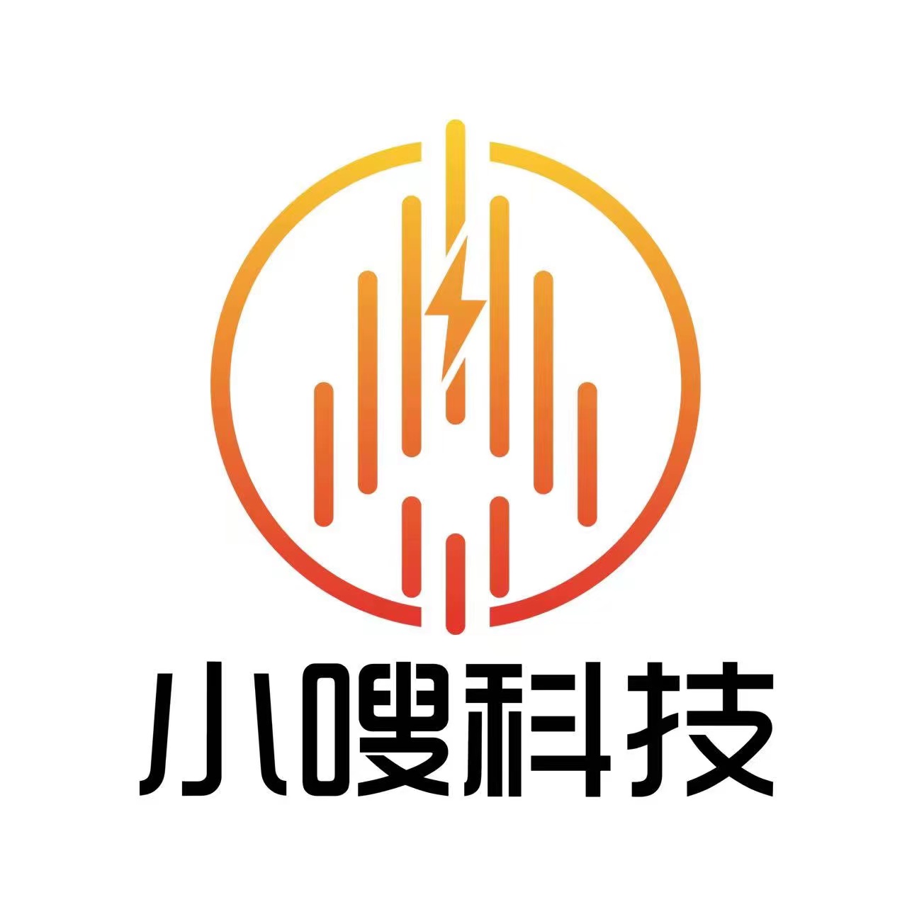 青岛小嗖科技有限公司