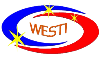 武汉市工程科学技术研究院有限公司