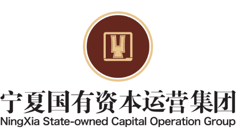宁夏国有资本运营集团有限责任公司