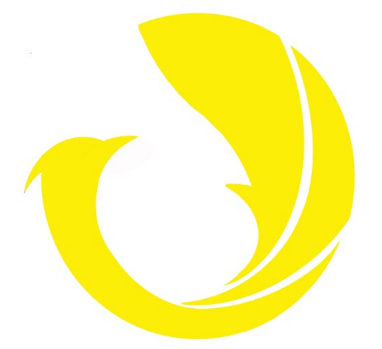 河北翼龙航空科技有限公司