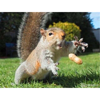 北京千帆阅文科技有限公司