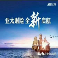 亚太财产保险有限公司洛阳中心支公司