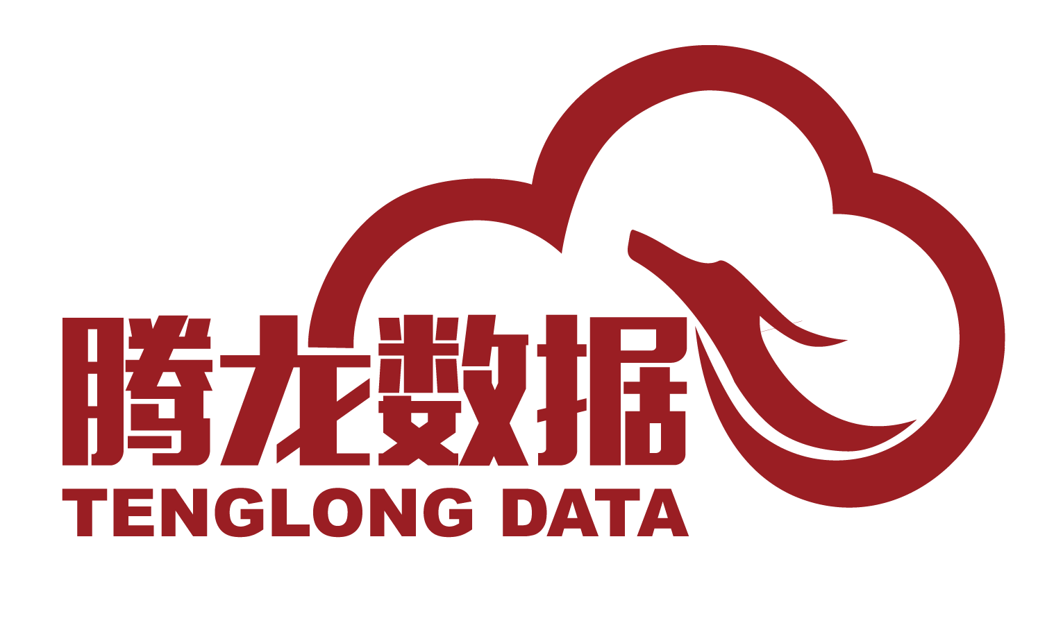 腾龙数据(北京)科技发展有限公司