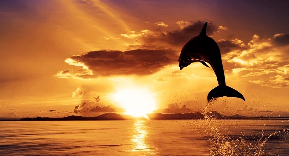 郑州赛光电子科技有限公司