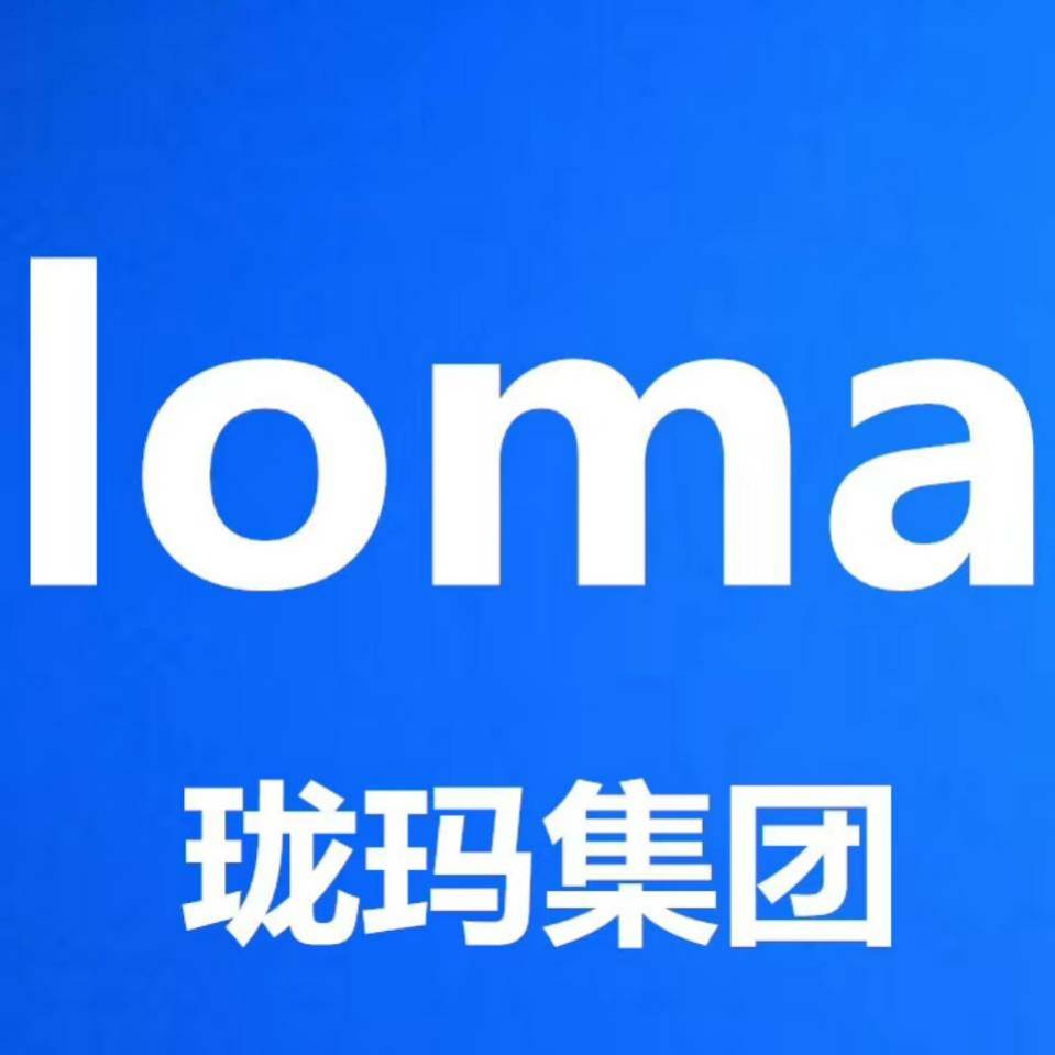 辽宁珑玛信息技术有限公司