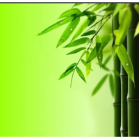 山西中青酒业有限公司