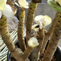 济南三信岩土工程有限公司